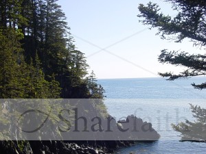 Forests of Kodiak Island