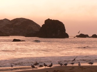 Seabirds%20at%20Sunset