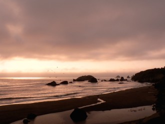 Sepia Ocean Sunset