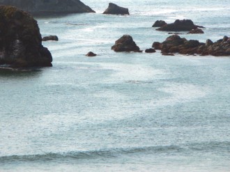 Coastal%20seascape%20with%20room%20for%20text