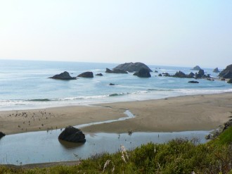 Where%20the%20Creek%20Meets%20the%20Sea