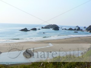 Where%20the%20Creek%20Meets%20the%20Sea