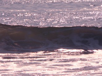 Purple%20Wave%20Forming