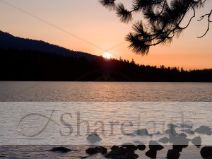 Sun Setting over Forest and Waters