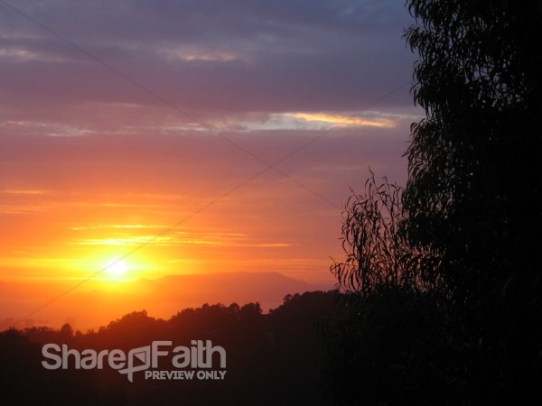 Glorious Sunset Beyond Trees