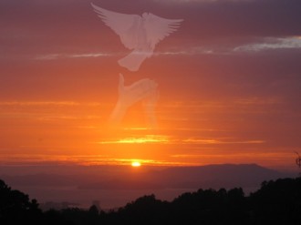 Sunset%20with%20Dove%20Release%20Watermark