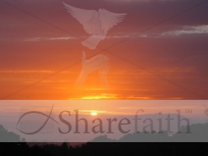 Sunset%20with%20Dove%20Release%20Watermark