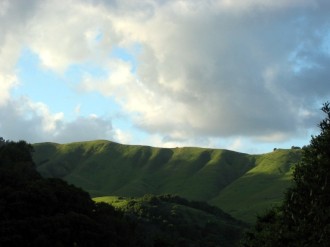 Majestic%20Green%20Hills