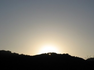 Morning%20Sunrise%20Silhouette