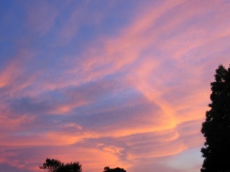 Pink Whispy Clouds