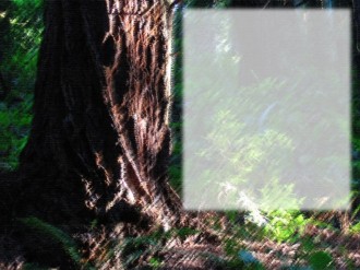 Great Tree with Space for Text