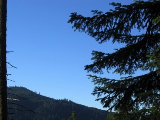 Blue Sky Above Forested Hills