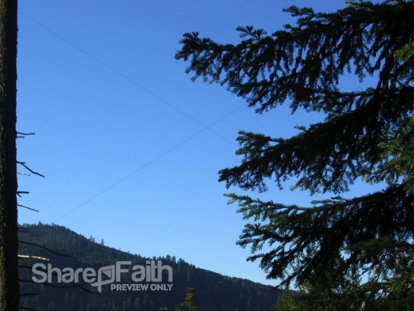 Blue Sky Above Forested Hills