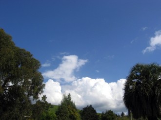 Blue Sky with Puffy Clouds