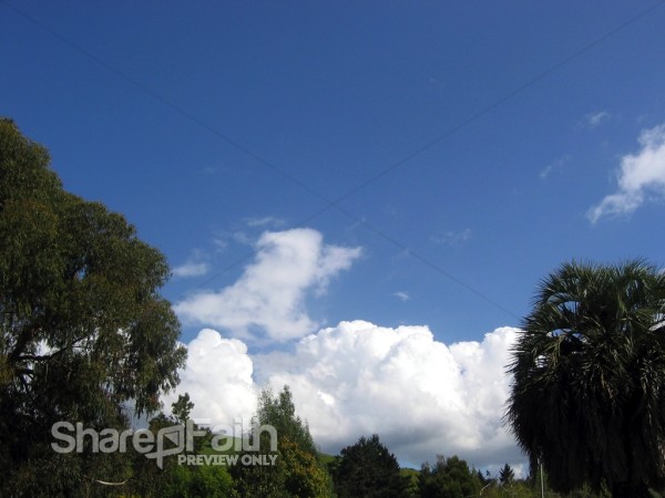 Blue%20Sky%20with%20Puffy%20Clouds