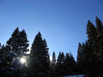 Forest%20and%20Blue%20Sky