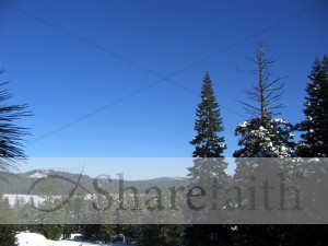 Snowy%20Forest%20Photo