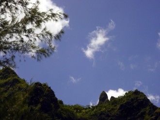 Hills%20with%20Pine%20Frame%20and%20Sky