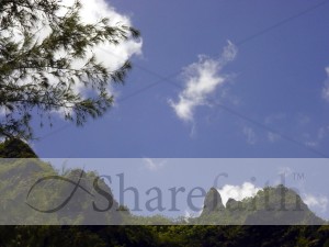 Hills with Pine Frame and Sky