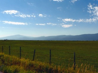 Cropland Goes to the Distant Horizon