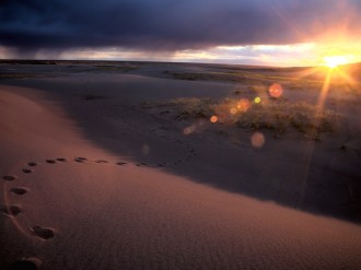 Footprints in Sand at Sunset