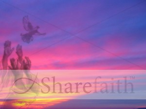 Reaching for Soaring Bird on Purple Sunset