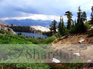 Mountain Forests and Lake