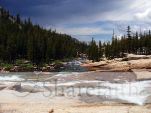 Babbling Brook in Yosemite Image