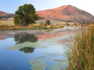 Pastoral Lake Photo
