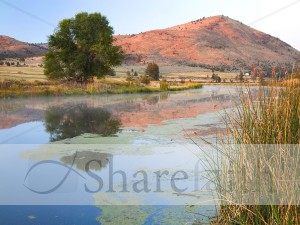 Pastoral%20Lake%20Photo