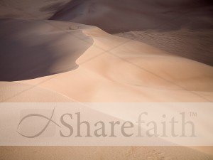Sand%20Dune%20Presentation%20Photo