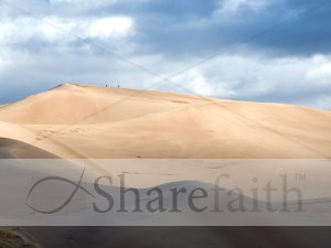 Rolling Desert Dunes