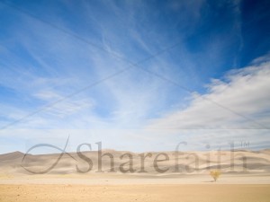 Desert%20Sky%20Photograph