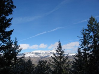 Blue Sky Pine Tree Frame