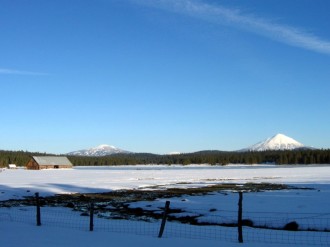 Snowy Pastoral Scene