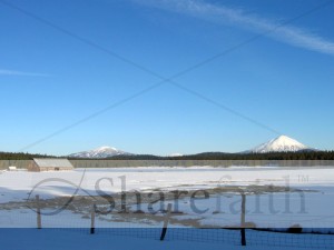 Snowy Pastoral Scene