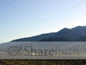 Mountain with Vineyard Photo