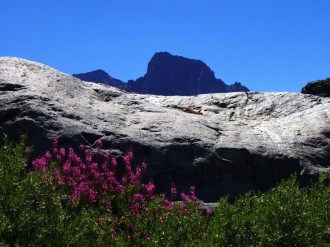 Gray%20Granite%20with%20Flowers