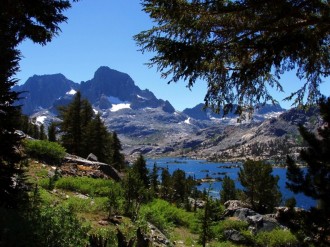 Mountain Lake Through Trees