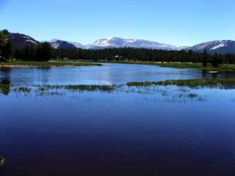 Spring Lake with Deep Blue Reflection