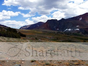 Trail into the Mountains