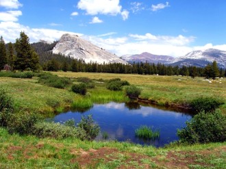 Scenic%20Mountain%20Meadow%20with%20Pond