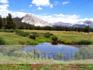 Scenic%20Mountain%20Meadow%20with%20Pond