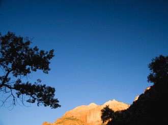 Trees%20Silhouetted%20Against%20Mountain
