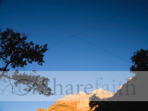 Trees%20Silhouetted%20Against%20Mountain
