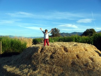 Happy Child on Haystack