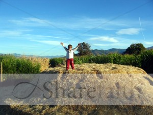 Happy Child on Haystack