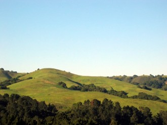 Rolling Green Hills
