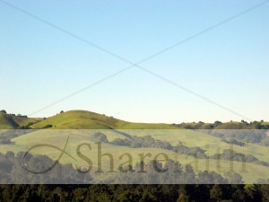Rolling Green Hills