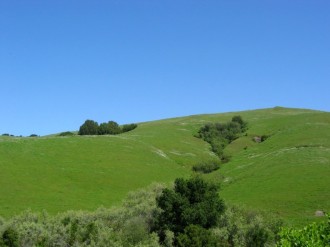 Spring Green on the Hills